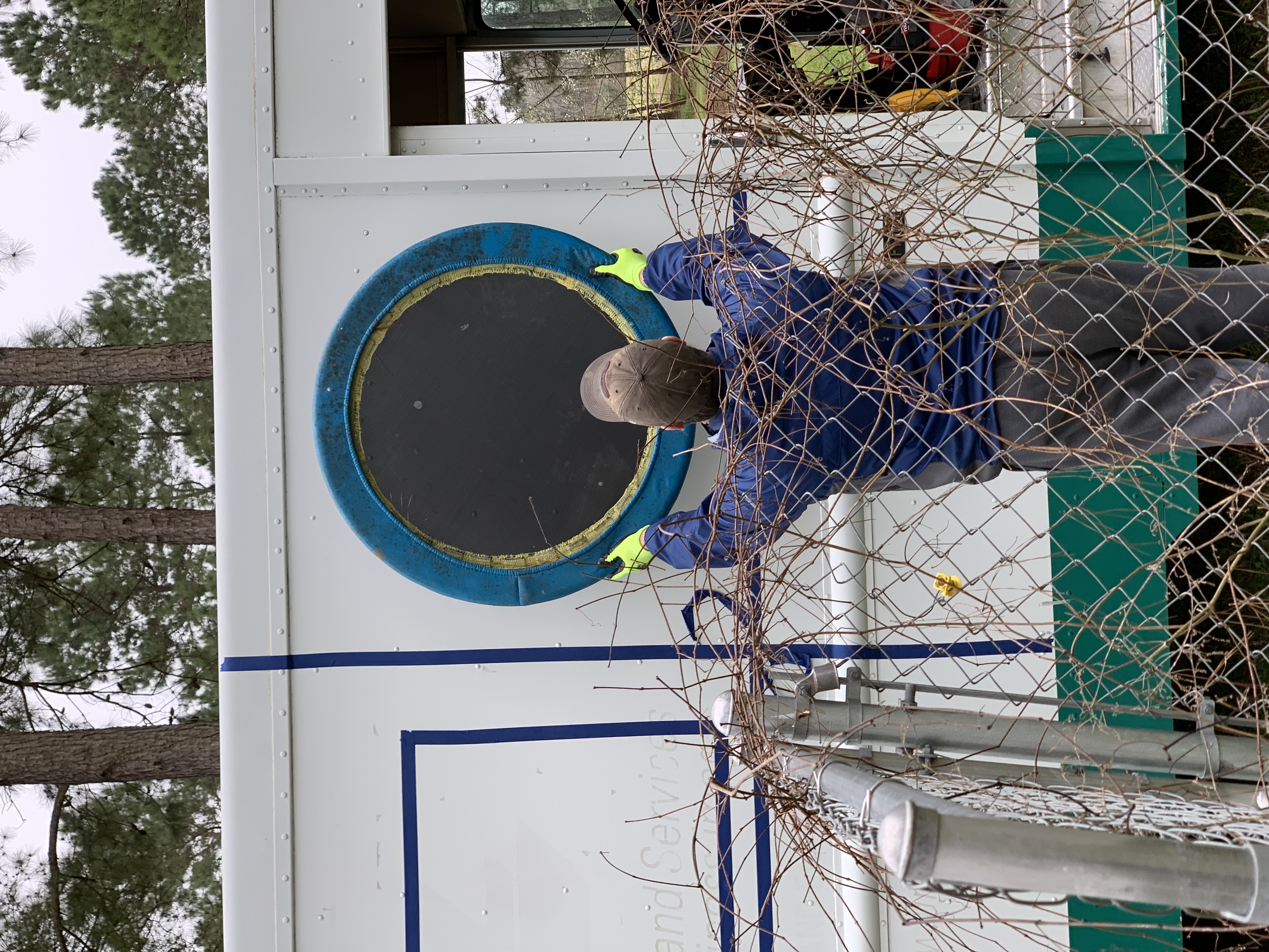 Placing the logo